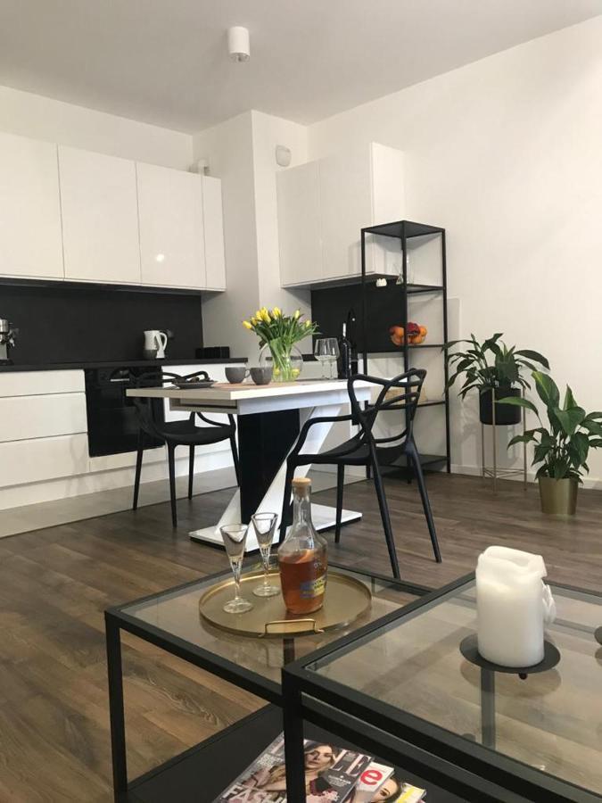Apartament Chwaliszewo Z Balkonem - Free Parking Poznan Bagian luar foto